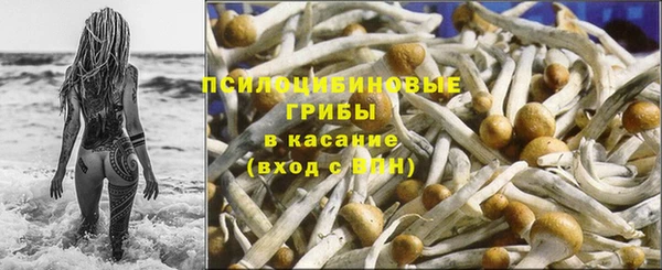 MESCALINE Вяземский