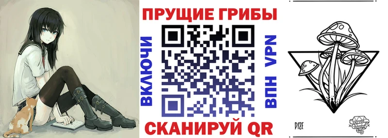 как найти наркотики  Балашиха  Псилоцибиновые грибы MAGIC MUSHROOMS 